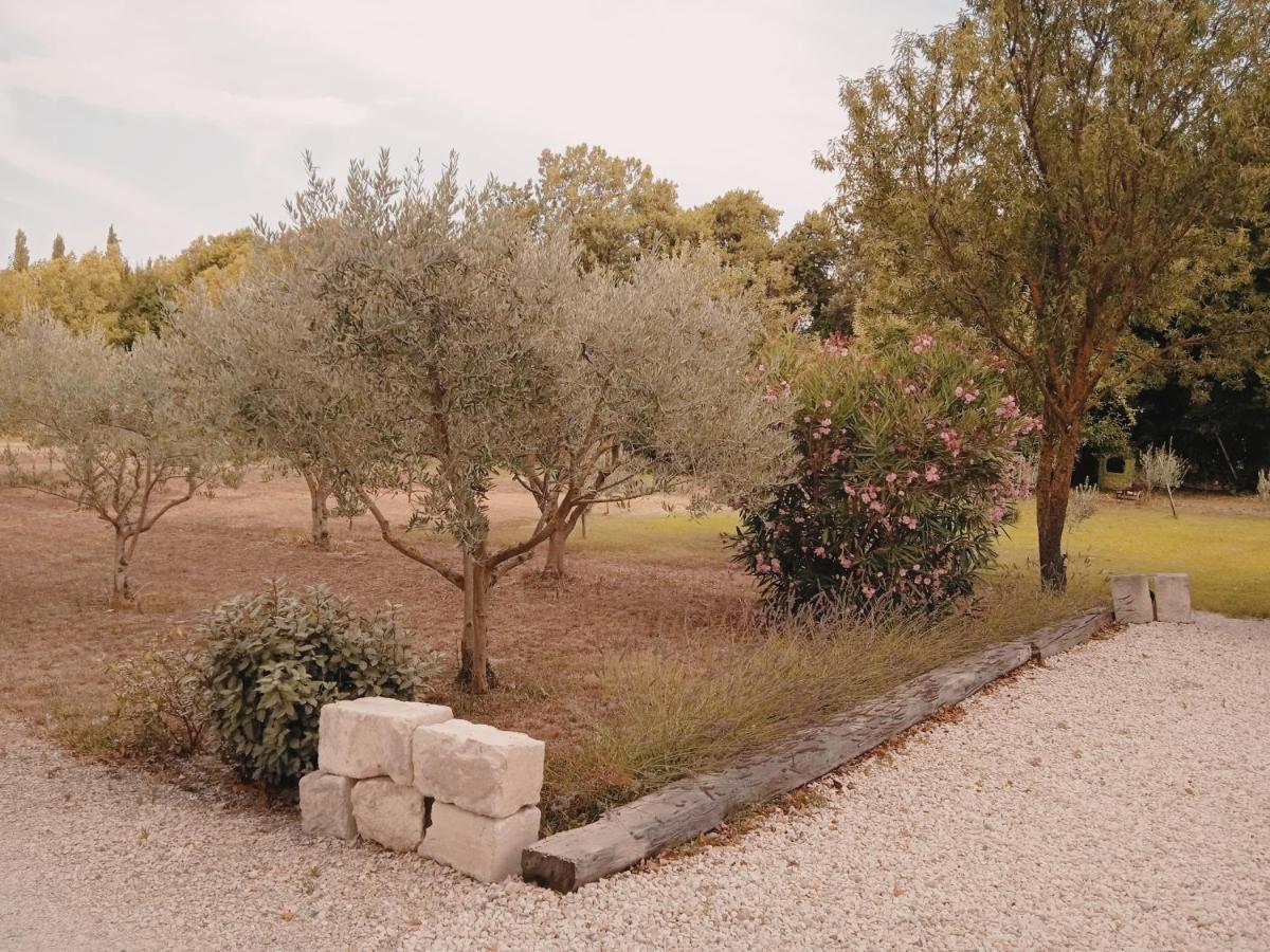 Gite Du Mas De La Finiere ,Avec Spa Interieur Châteaurenard Kültér fotó